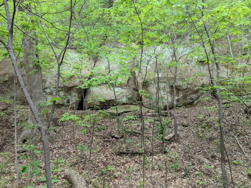 It’s not about the setback; it’s about the&nbsp;comeback.